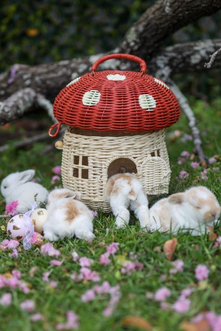 Mushroom Basket Red